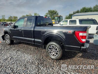 Drugie zdjęcie samochodu z przodu: 2021 FORD F150 SUPER CAB VIN:1FTFX1E52MKD56329 - miniatura