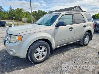 2009 FORD ESCAPE XLT 1FMCU93G09KA61487 - główne zdjęcie licytacji z USA - miniatura