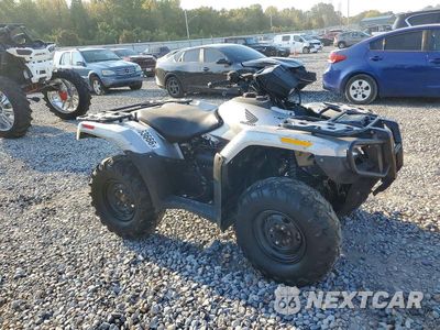 2024 HONDA TRX700 1HFTE3325RJ000084 - główne zdjęcie licytacji z USA - miniatura