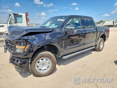 2024 FORD F150 XLT 1FTFW3L50RKD96708 - główne zdjęcie licytacji z USA - miniatura