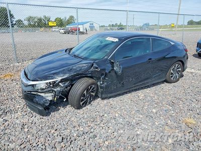 2017 HONDA CIVIC LX 2HGFC4B08HH311996 - główne zdjęcie licytacji z USA - miniatura