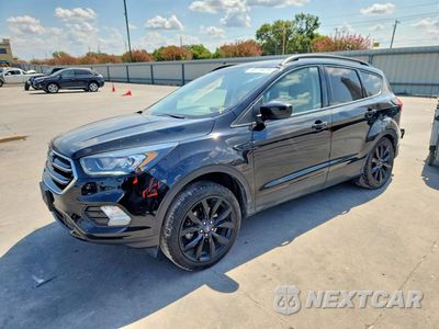 2019 FORD ESCAPE SE 1FMCU0GD4KUB64031 - główne zdjęcie licytacji z USA - miniatura