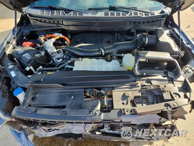 Zdjęcie 11 z 12 samochodu: 2023 FORD F150 SUPERCREW VIN:1FTFW1ED4PFC59298 - miniatura