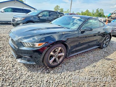 2017 FORD MUSTANG 1FA6P8TH4H5246298 - główne zdjęcie licytacji z USA - miniatura
