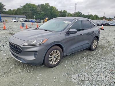 2021 FORD ESCAPE SE 1FMCU0G66MUB34369 - główne zdjęcie licytacji z USA - miniatura