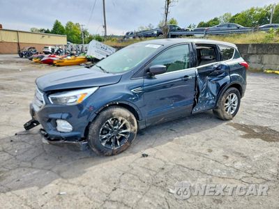 2019 FORD ESCAPE SE 1FMCU9GD2KUB32456 - główne zdjęcie licytacji z USA - miniatura