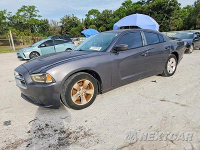2013 DODGE CHARGER SE 2C3CDXBG2DH725433 - główne zdjęcie licytacji z USA - miniatura