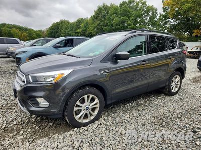 2018 FORD ESCAPE SE 1FMCU9GD0JUD38292 - główne zdjęcie licytacji z USA - miniatura