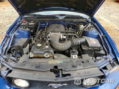 Zdjęcie 11 z 12 samochodu: 2009 FORD MUSTANG GT VIN:1ZVHT82H495138276 - miniatura
