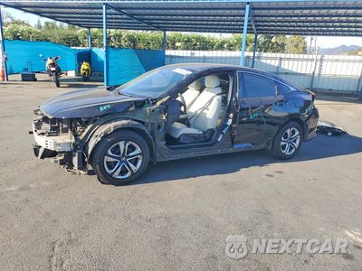 2017 HONDA CIVIC LX 2HGFC2F56HH529154 - główne zdjęcie licytacji z USA - miniatura