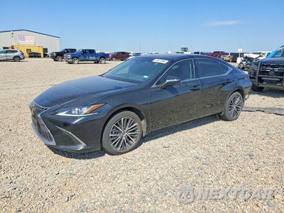 2025 LEXUS ES 350 BASE 58ADZ1B12SU203121 - główne zdjęcie licytacji z USA - miniatura