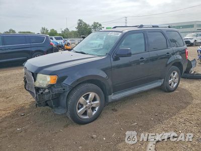 2011 FORD ESCAPE LIMITED 1FMCU9EG5BKB89355 - główne zdjęcie licytacji z USA - miniatura