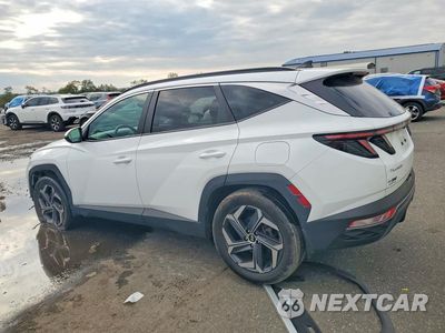 Drugie zdjęcie samochodu z przodu: 2024 HYUNDAI TUCSON SEL CONVENIENCE VIN:KM8JCCD12RU184617 - miniatura