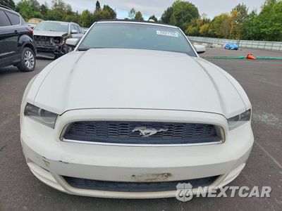 Piąte zdjęcie samochodu w środku: 2013 FORD MUSTANG VIN:1ZVBP8EM1D5224656 - miniatura