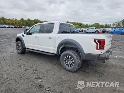 Drugie zdjęcie samochodu z przodu: 2019 FORD F150 RAPTOR VIN:1FTFW1RG2KFA41728 - miniatura