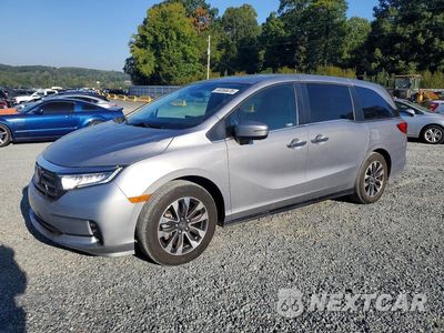 2024 HONDA ODYSSEY EXL 5FNRL6H68RB005195 - główne zdjęcie licytacji z USA - miniatura