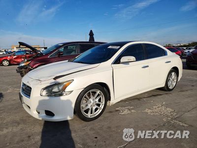 2010 NISSAN MAXIMA 3.5 S 1N4AA5AP2AC800623 - główne zdjęcie licytacji z USA - miniatura