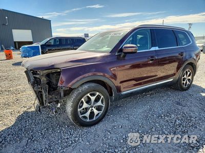 2020 KIA TELLURIDE EX 5XYP3DHC9LG012268 - główne zdjęcie licytacji z USA - miniatura