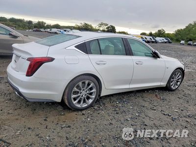 Trzecie zdjęcie samochodu z tyłu: 2021 CADILLAC CT5 PREMIUM LUXURY VIN:1G6DN5RK0M0146623 - miniatura