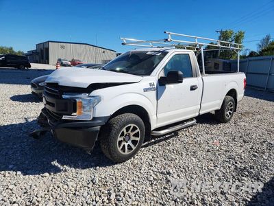 2019 FORD F150 1FTMF1CB0KKD36595 - główne zdjęcie licytacji z USA - miniatura