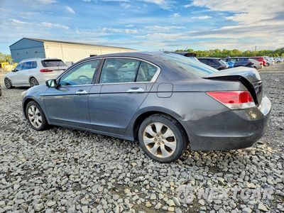 Drugie zdjęcie samochodu z przodu: 2010 HONDA ACCORD EXL VIN:1HGCP3F87AA027457 - miniatura