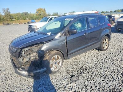 2016 FORD ESCAPE SE 1FMCU9GX5GUB85587 - główne zdjęcie licytacji z USA - miniatura