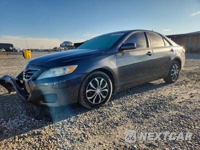 2010 TOYOTA CAMRY LE 4T4BF3EK5AR011252 - główne zdjęcie licytacji z USA - miniatura