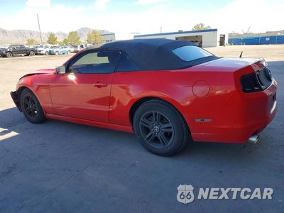 Drugie zdjęcie samochodu z przodu: 2013 FORD MUSTANG VIN:1ZVBP8EM4D5209875 - miniatura