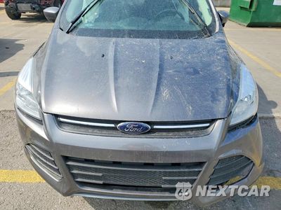 Zdjęcie 12 z 13 samochodu: 2014 FORD ESCAPE SE VIN:1FMCU0G91EUA12112 - miniatura