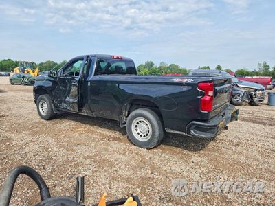 Drugie zdjęcie samochodu z przodu: 2020 CHEVROLET SILVERADO K1500 VIN:3GCNYAEF7LG137079 - miniatura