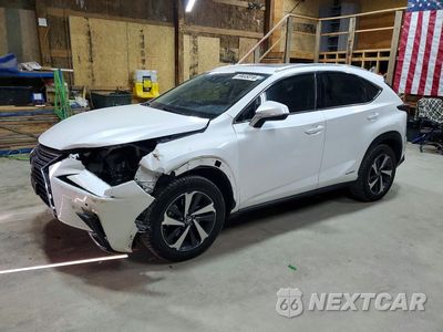 2021 LEXUS NX 300H BASE JTJGJRDZ5M2170709 - główne zdjęcie licytacji z USA - miniatura