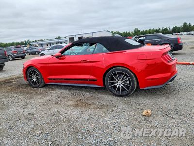 Drugie zdjęcie samochodu z przodu: 2021 FORD MUSTANG VIN:1FATP8UH5M5132418 - miniatura