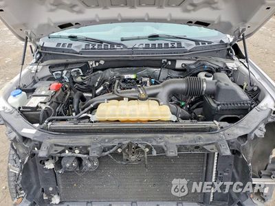 Zdjęcie 11 z 13 samochodu: 2019 FORD F150 SUPER CAB VIN:1FTEX1EPXKKD69419 - miniatura
