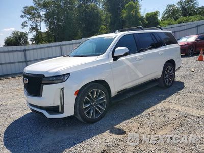 2021 CADILLAC ESCALADE SPORT 1GYS4FKL2MR459341 - główne zdjęcie licytacji z USA - miniatura