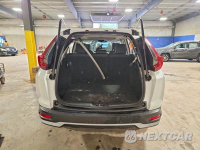 Zdjęcie 6 z 13 samochodu: 2022 HONDA CR-V EXL VIN:5J6RT6H81NL042091 - miniatura