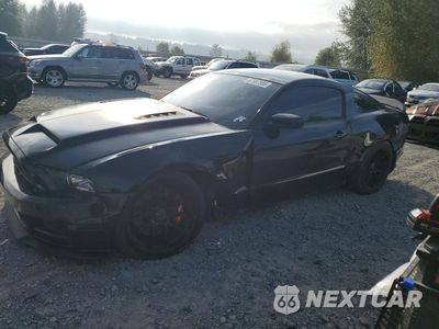 2013 FORD MUSTANG GT 1ZVBP8CF9D5271843 - główne zdjęcie licytacji z USA - miniatura