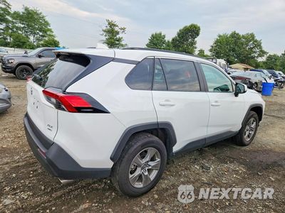 Trzecie zdjęcie samochodu z tyłu: 2025 TOYOTA RAV4 XLE VIN:2T3P1RFV3SW605437 - miniatura