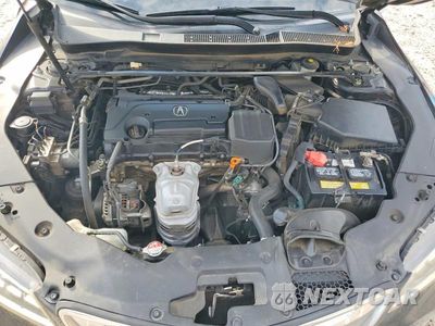 Zdjęcie 11 z 12 samochodu: 2016 ACURA TLX TECH VIN:19UUB1F53GA013951 - miniatura