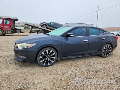 2017 NISSAN MAXIMA 3.5 SR 1N4AA6AP5HC409028 - główne zdjęcie licytacji z USA - miniatura