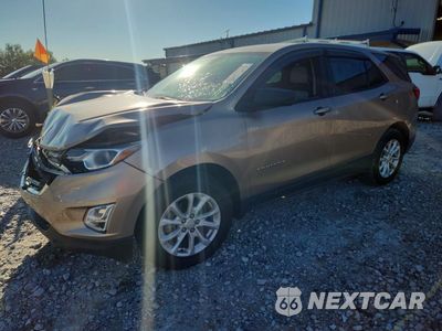 2019 CHEVROLET EQUINOX LS 2GNAXHEV3K6199436 - główne zdjęcie licytacji z USA - miniatura