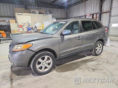 2009 HYUNDAI SANTA FE SE 5NMSH13E39H324460 - główne zdjęcie licytacji z USA - miniatura