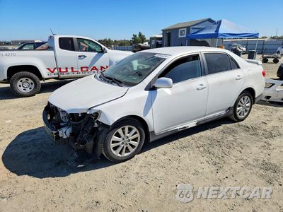 2010 TOYOTA COROLLA S 1NXBU4EE1AZ353510 - główne zdjęcie licytacji z USA - miniatura