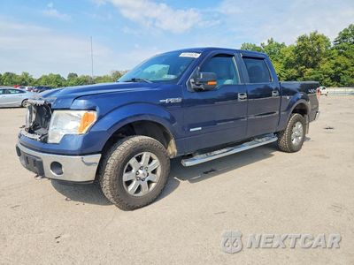 2013 FORD F150 SUPERCREW 1FTFW1ET1DFA49664 - główne zdjęcie licytacji z USA - miniatura