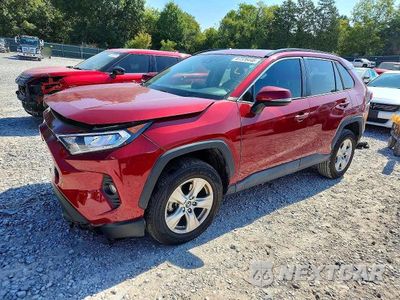 2019 TOYOTA RAV4 XLE 2T3W1RFV9KC011691 - główne zdjęcie licytacji z USA - miniatura