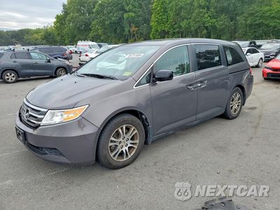 2024 HONDA ODYSSEY EXL 5FNRL5H63DB059765 - główne zdjęcie licytacji z USA - miniatura