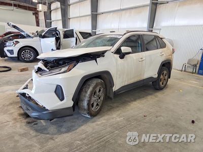 2024 TOYOTA RAV 4 2T3RWRFV4RW246538 - główne zdjęcie licytacji z USA - miniatura