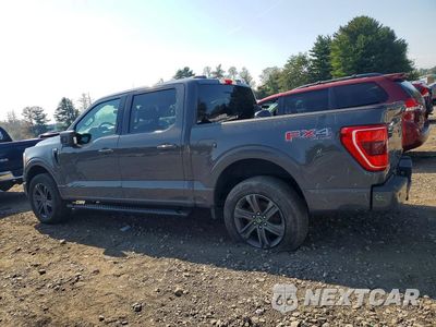 Drugie zdjęcie samochodu z przodu: 2021 FORD F150 SUPERCREW VIN:1FTFW1E57MKD06559 - miniatura