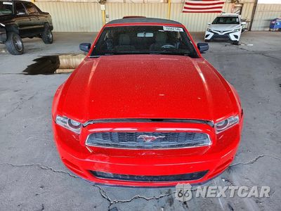 Piąte zdjęcie samochodu w środku: 2014 FORD MUSTANG VIN:1ZVBP8EMXE5220199 - miniatura
