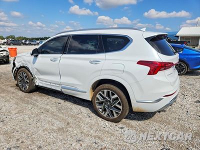 Drugie zdjęcie samochodu z przodu: 2023 HYUNDAI SANTA FE CALLIGRAPHY VIN:5NMS5DALXPH487020 - miniatura