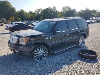 2002 CADILLAC ESCALADE LUXURY 1GYEC63T52R235783 - główne zdjęcie licytacji z USA - miniatura